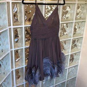 Silk Dress with Feathers Taupe color